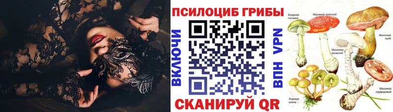 Галлюциногенные грибы GOLDEN TEACHER  даркнет формула  Всеволожск 