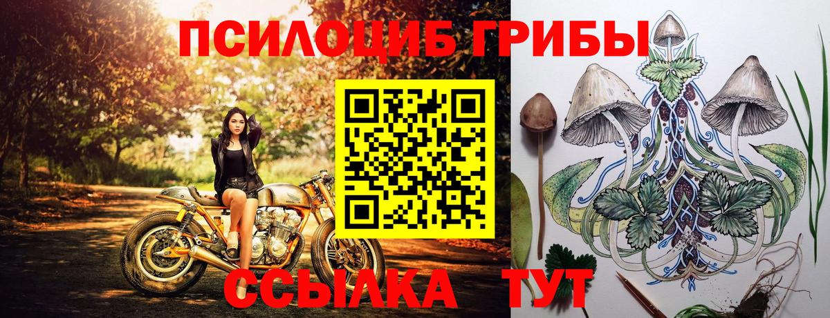 Галлюциногенные грибы Psilocybine cubensis  Вход с VPN  Всеволожск  Псилоцибиновые грибы ЛСД 