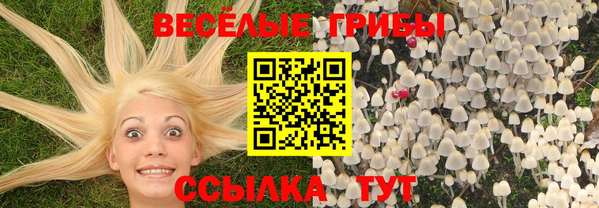 Галлюциногенные грибы MAGIC MUSHROOMS  купить наркоту  Всеволожск 