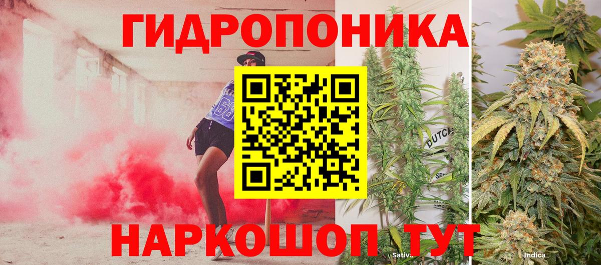 Бошки Шишки SATIVA & INDICA  Конопля марихуана  Всеволожск  Канабис план  Вход с VPN 